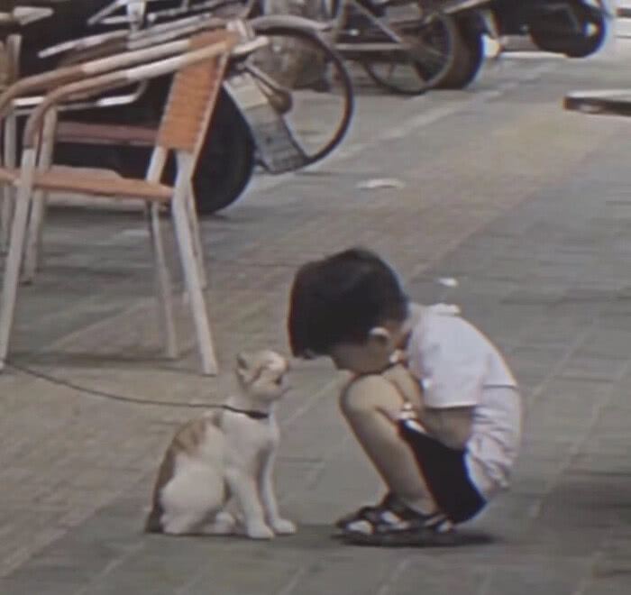 结婚证多少钱,结婚证多少钱一本