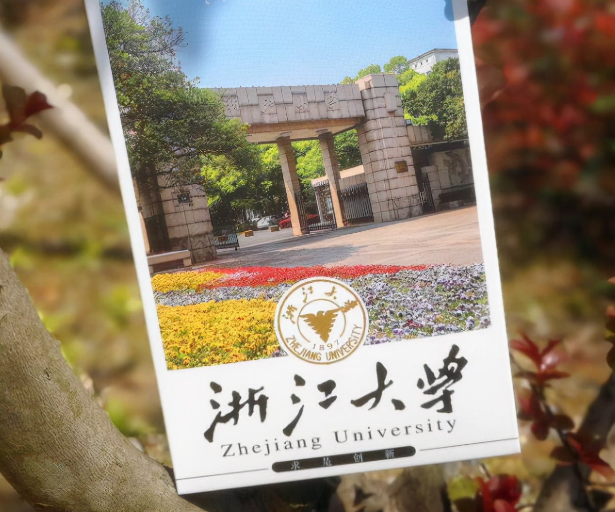 浙大4国混血“美女校花”火了，颜值高气质佳，网友想去浙大偶遇