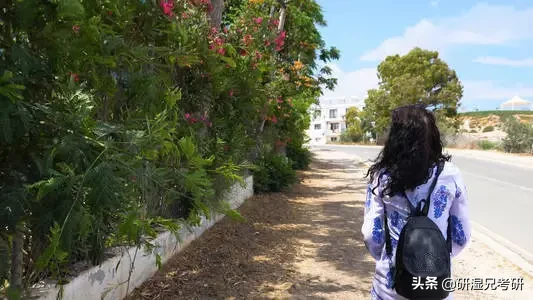 还不会查找和整理调剂信息？看这里！(内含调剂信息)