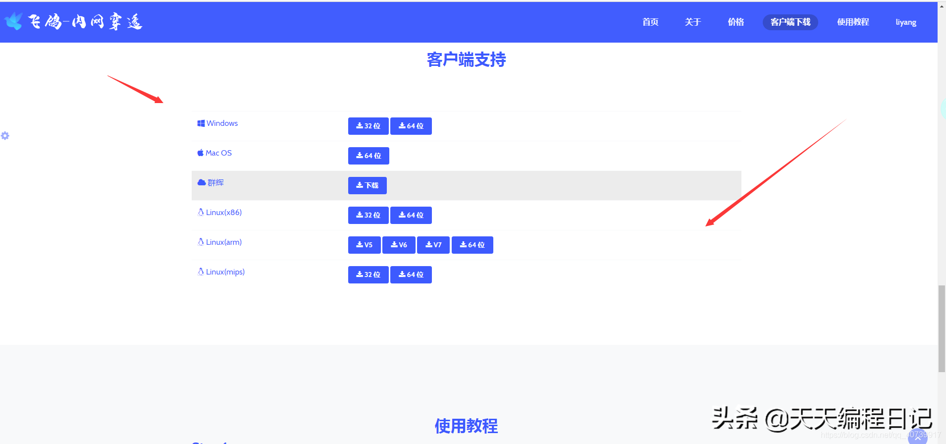 四种永久免费傻瓜式 内网穿透工具 教你部署内网服务器