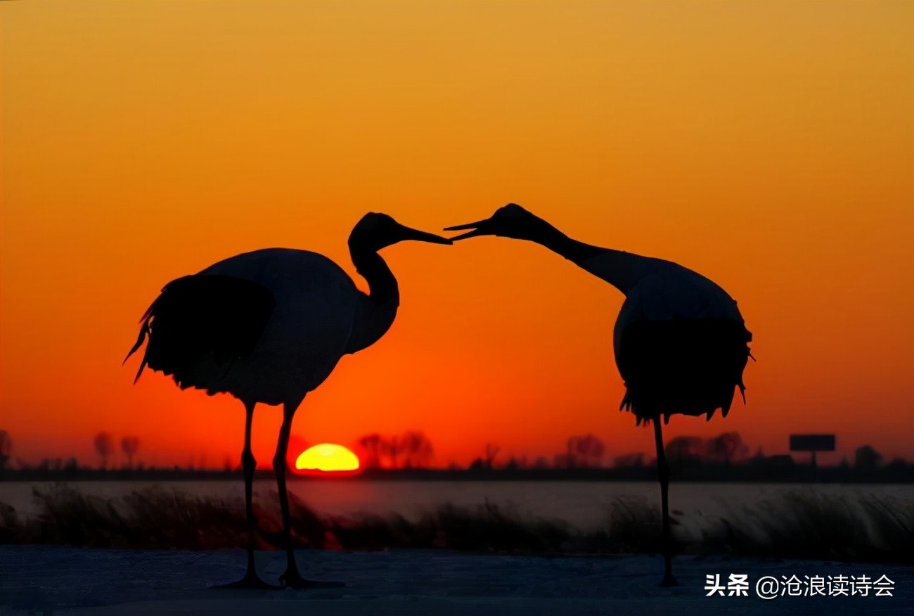 夕阳无限好，三首经典律诗，写黄昏美景字字唯美，内含境界与风骨