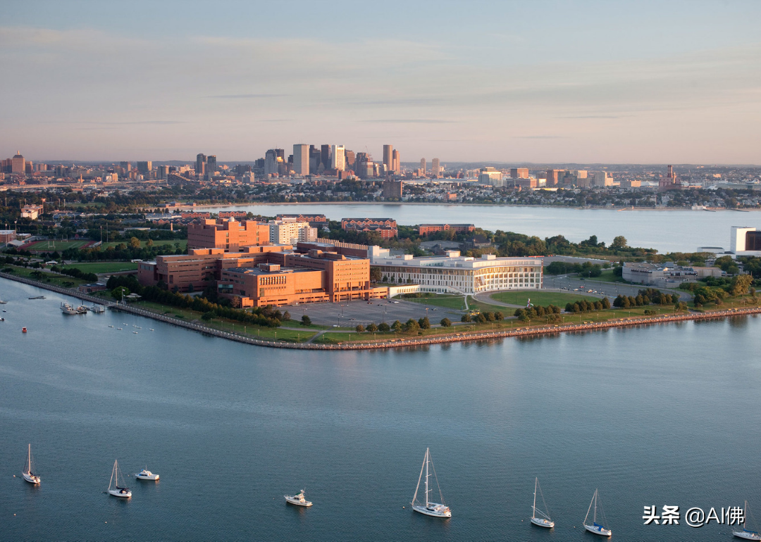 美国最自由的公立大学