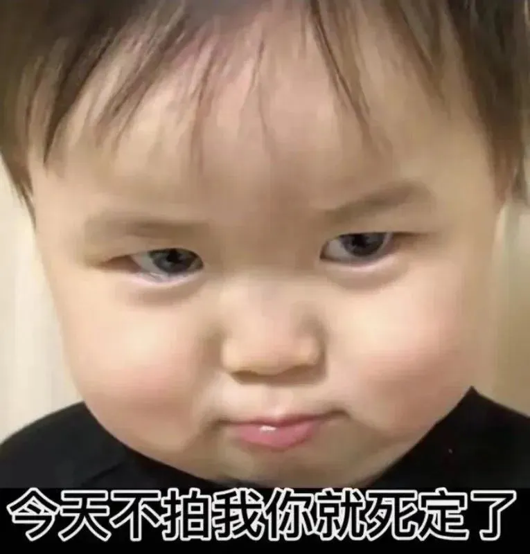 表情包：加我又不找我聊天，你是要找机会暗算我吗