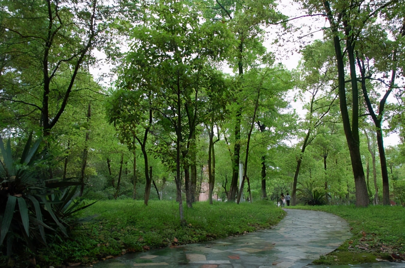 意料之外：江西独立学院转设为大学，竟招致学生不满