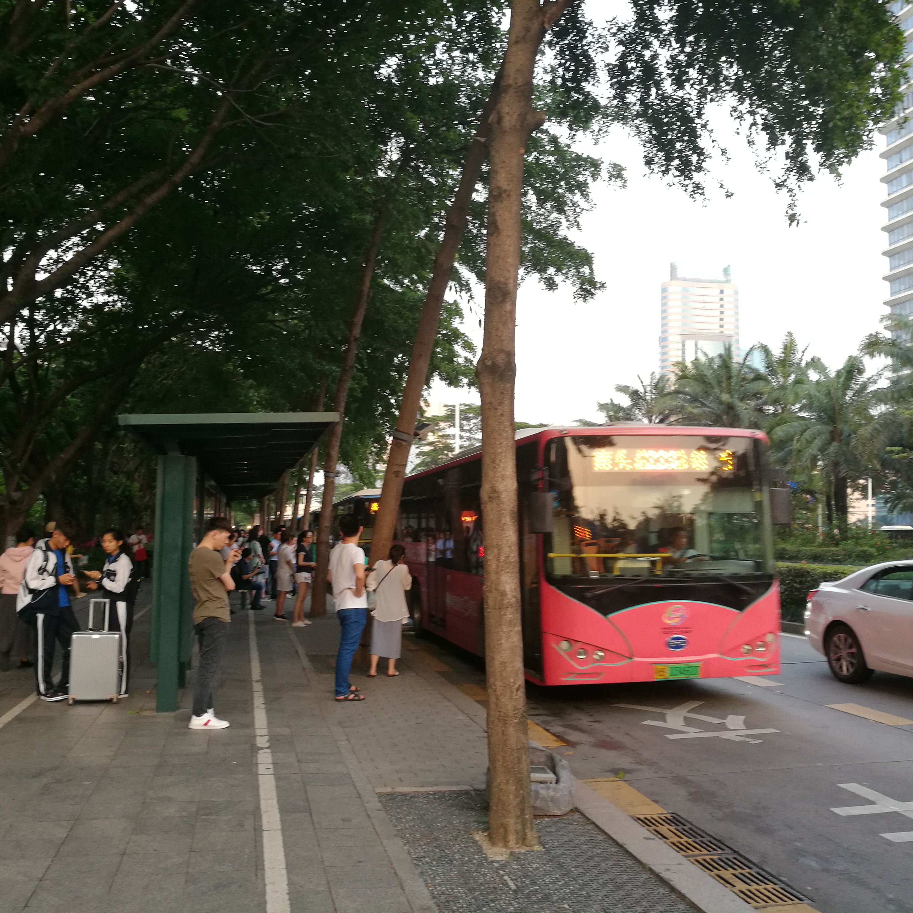 深圳龙岗双龙汽车站最新动态更新
