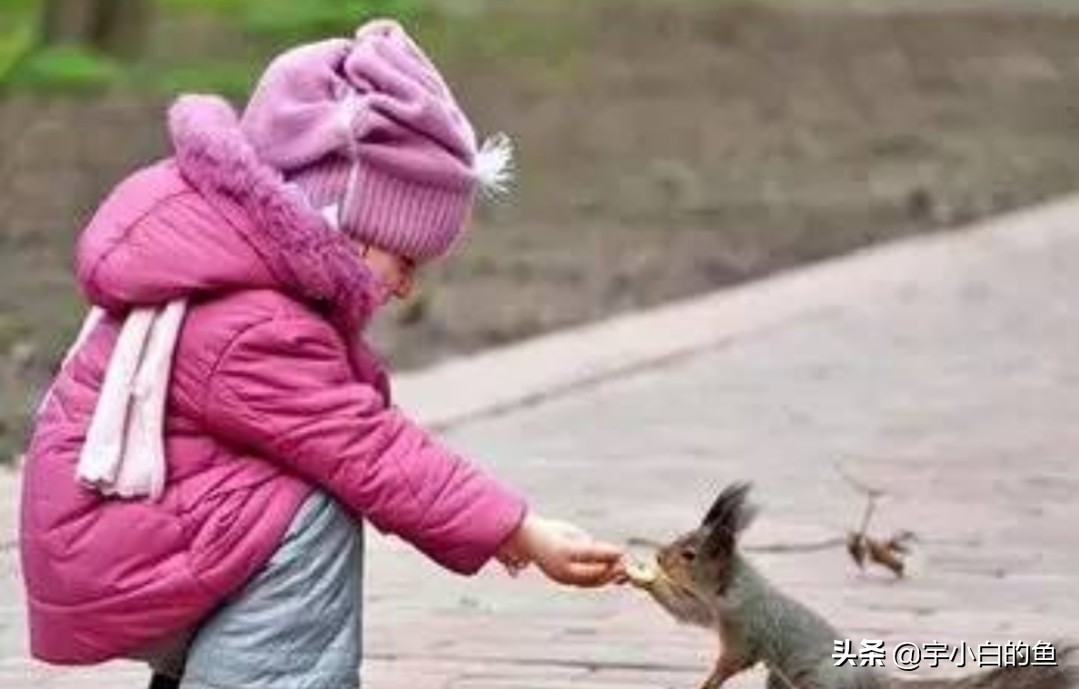 了解镜映思维，探索人在社会中的自我形成之道