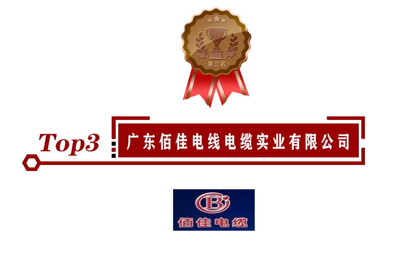 2020年电线电缆十大品牌企业