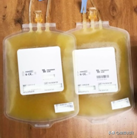 健康科普堂 | 成分献血及捐献机采血小板的常识