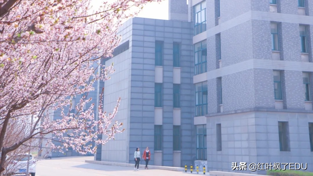 山东师范大学