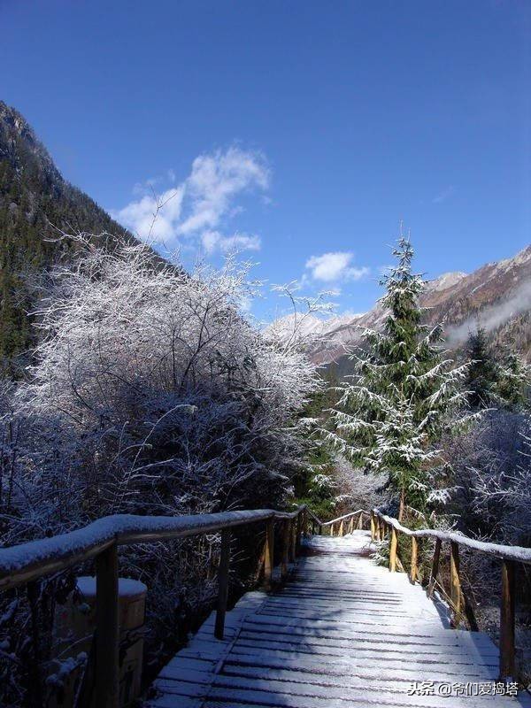 红墙，白雪，琉璃瓦，大雪压青松