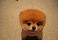 她是梁朝伟前女友，被闺蜜刘嘉玲夺爱，嫁豪门被气走，今54岁仍单身