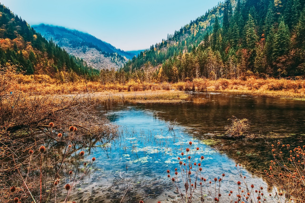 王维最美的10首五言绝句，句句如诗，首首如画，美到极致