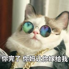 猫咪戴墨镜表情包