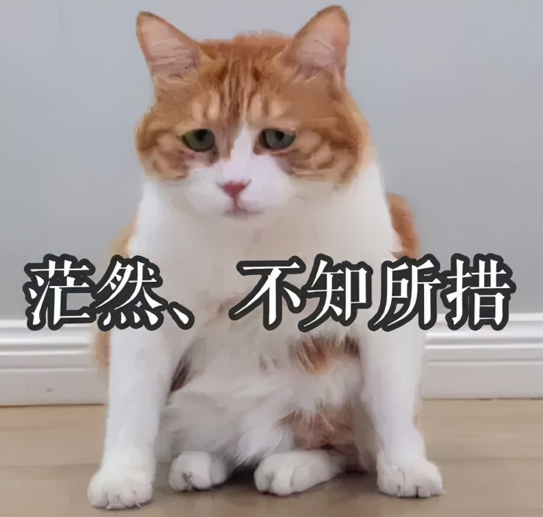 英语四级，你得答对几道题才有425分？