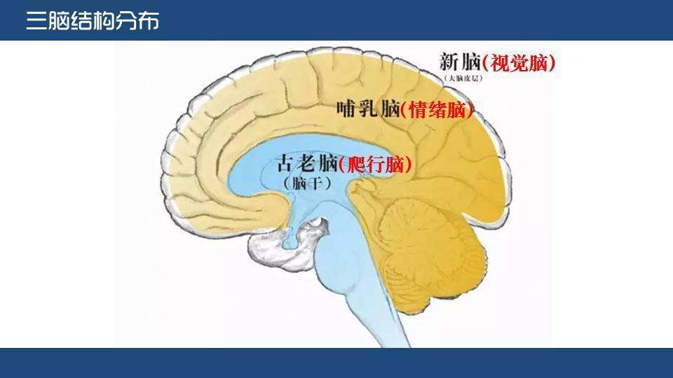 孩子哭闹、发脾气，阻止不是好办法，教他告别“坏情绪”就好