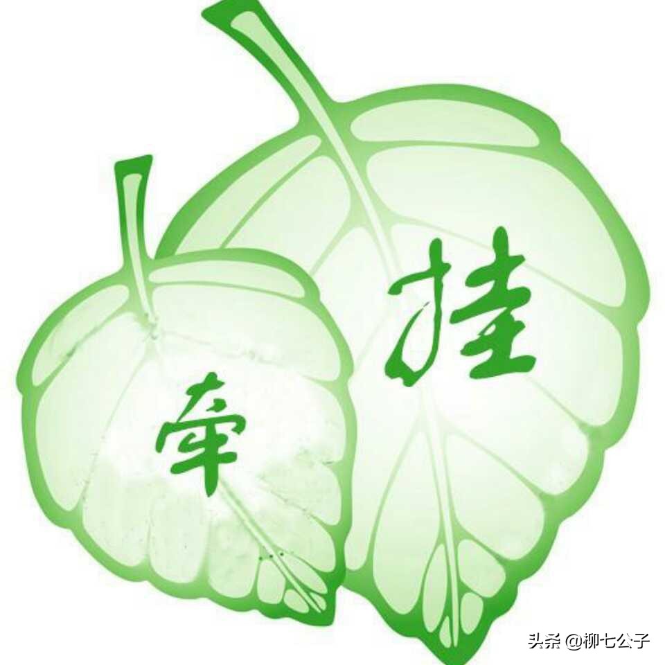 有人牵挂是一种幸福；被人牵挂是一种幸运，牵挂是一种无言的痛
