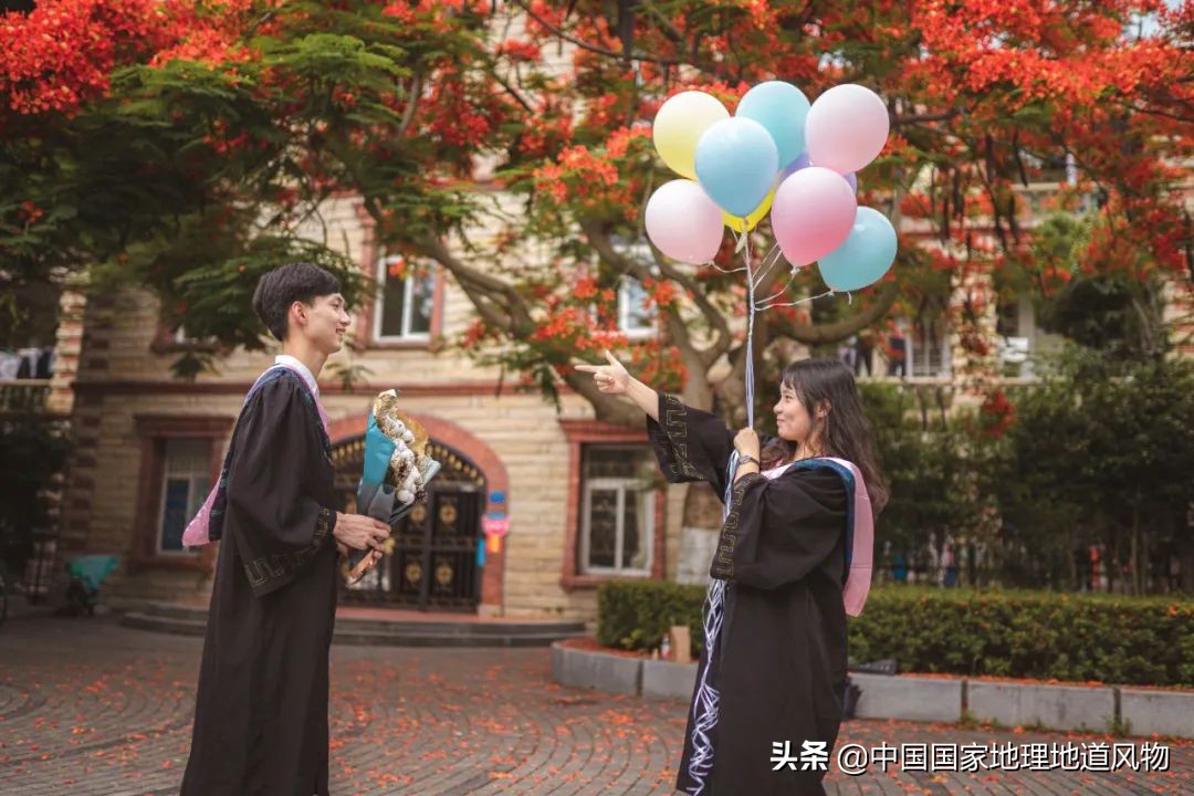 厦门大学，凭什么是中国“最美”校园？