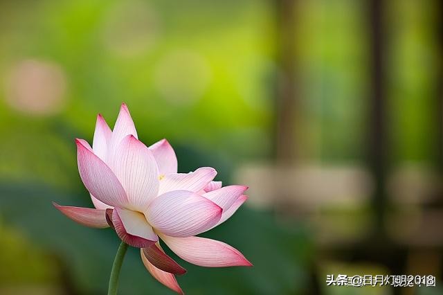 七佛译师两次“破戒”娶妻，因正史记载而扑朔迷离，今有望澄清