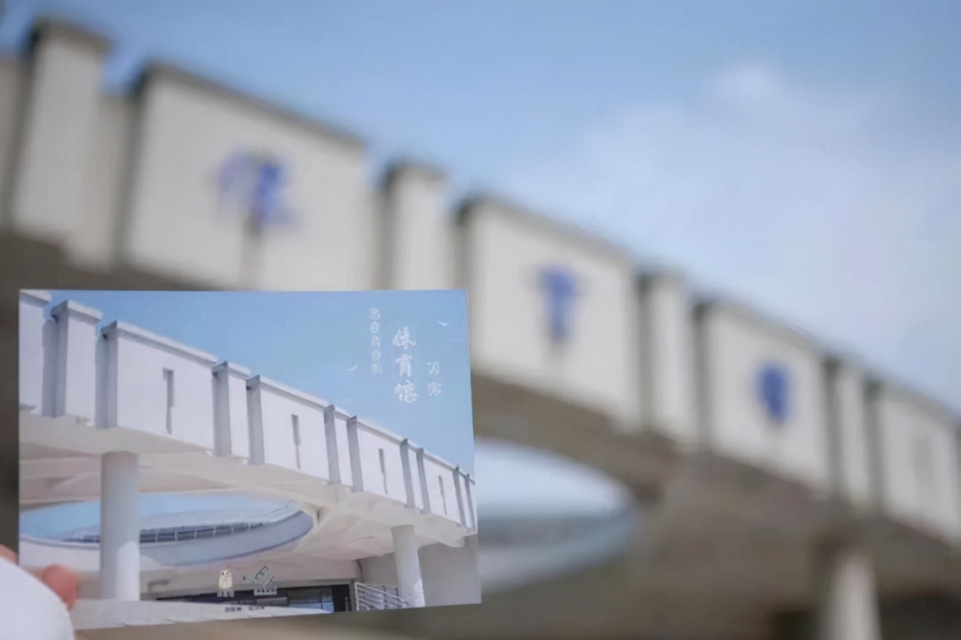 与苏炳添角逐百米赛道、横扫伊藤美诚，这些运动员都来自上海同所高校！