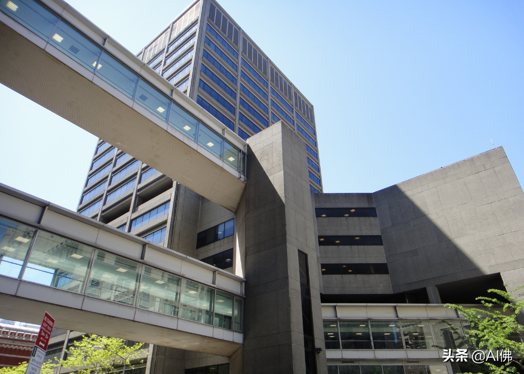 美国最自由的公立大学