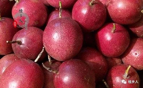 百香果直接吃还是泡水喝？这5种做法让你受益