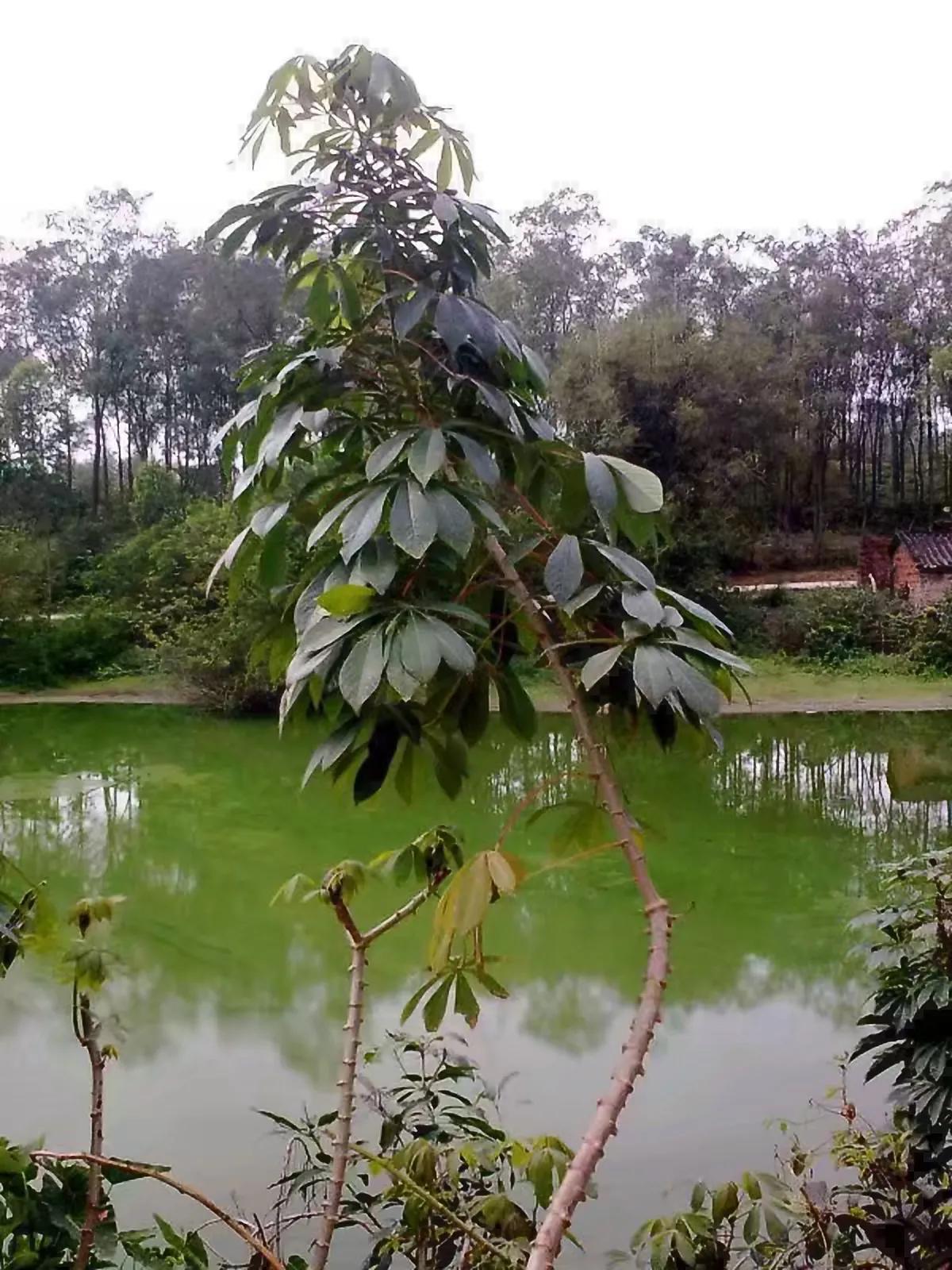 80后才读得懂
