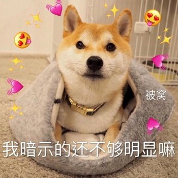 柴犬表情包合集