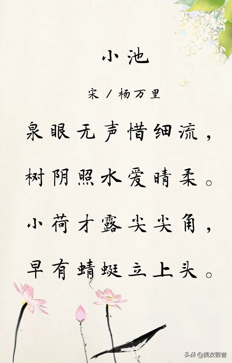 《小池》‖古诗词赏析