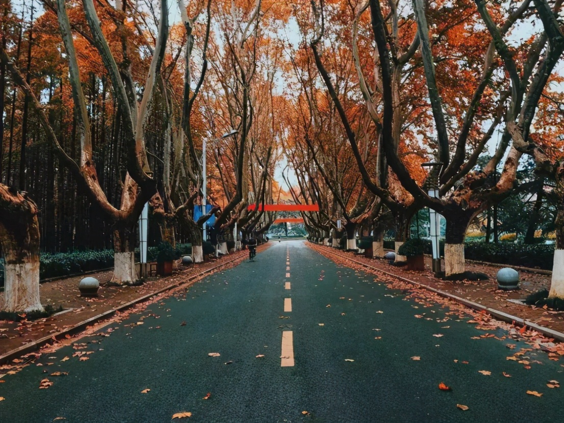 这所211大学太“憋屈”，就业率高达90%，却常被认为是普通大学