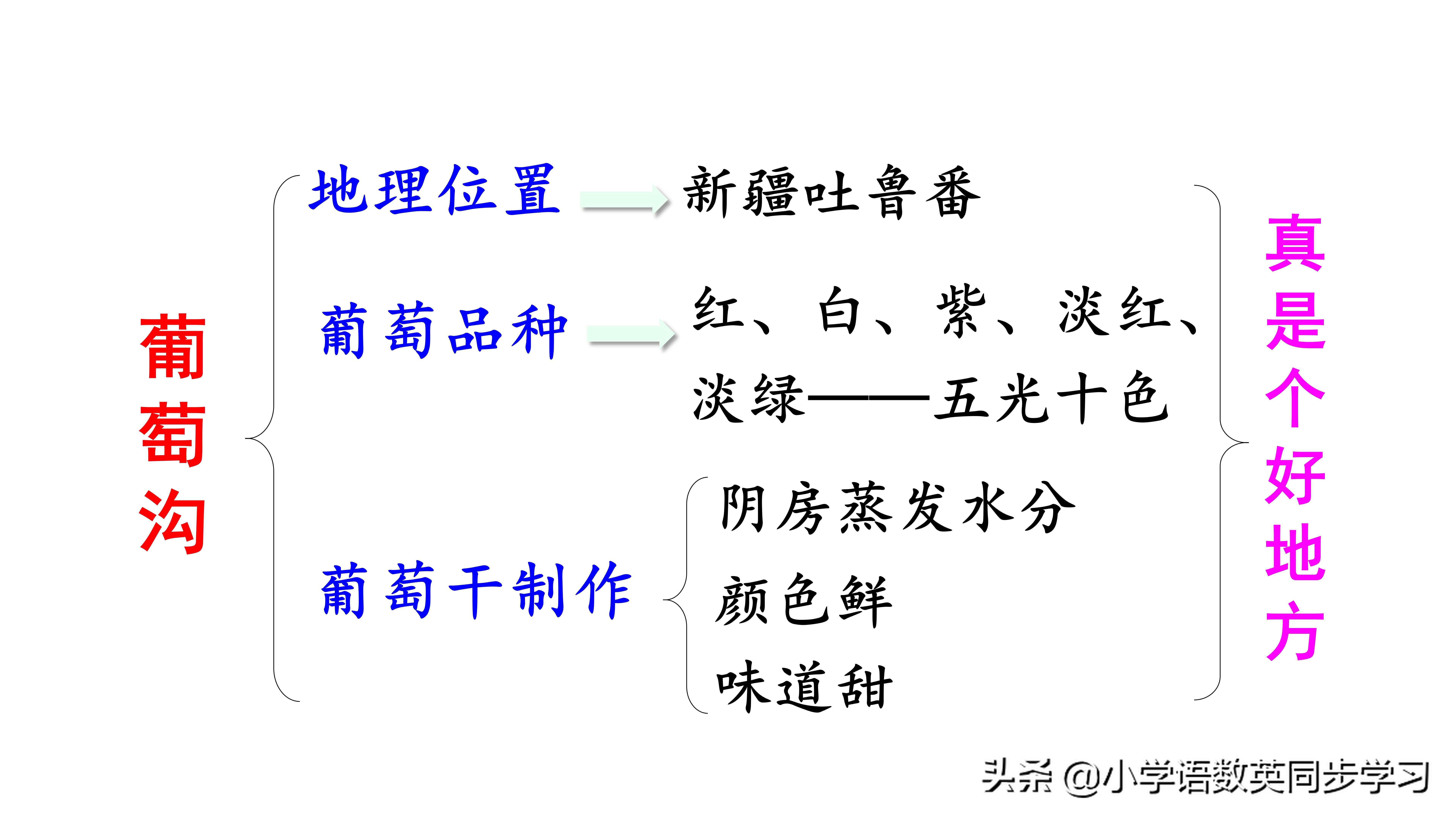 小学语文二年级上册课文11《葡萄沟》超详细教师笔记
