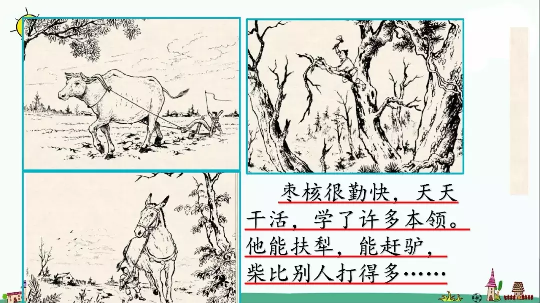 部编版三年级语文下册课文28《枣核》知识点+图文解读