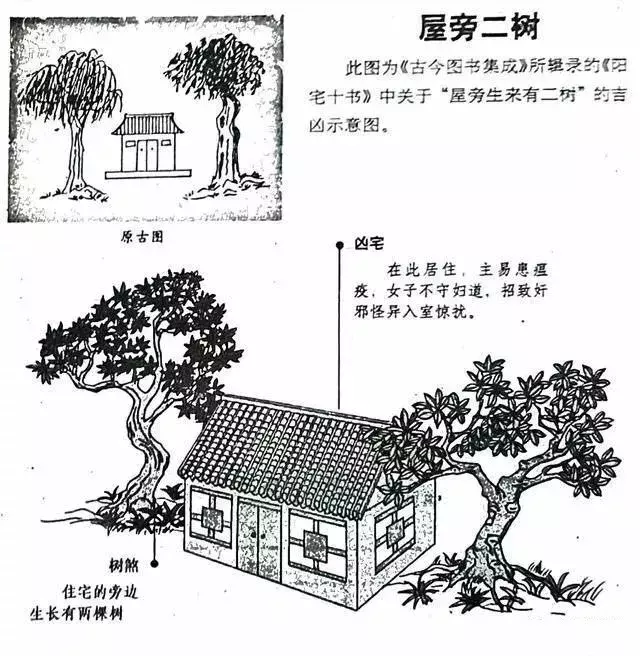 建议再认真看看的48个风水漫画，你想了解的住宅风水知识都齐全了