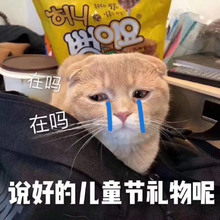 猫咪六一儿童节表情包合集