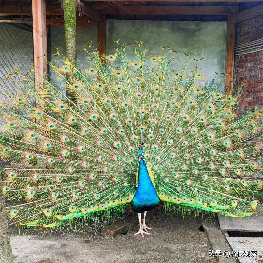 新中国第一所民办学校现在怎么样了？实地探访