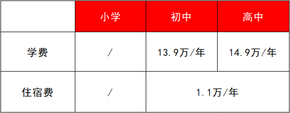 深圳国际学校学费（深圳国际学校学费10W）