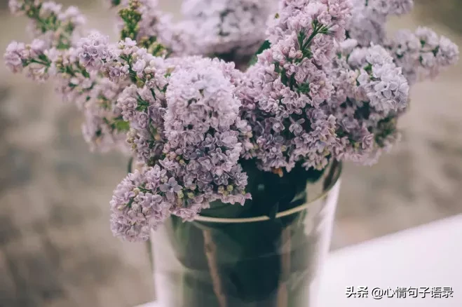 521：致在乎我的人