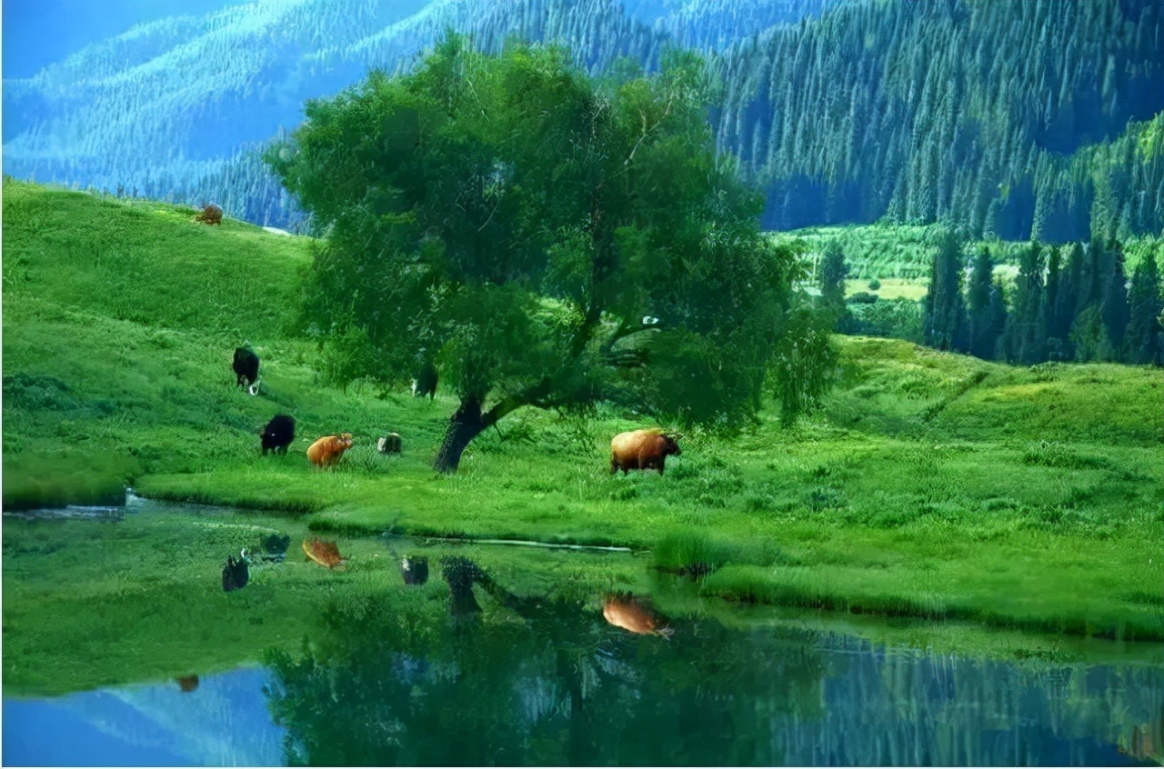 震撼！看了祖国这样的大好河山，谁不想保卫？