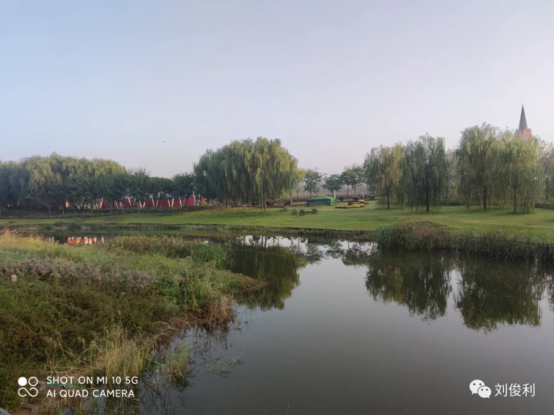 学校环境分析50字（驾培市场营商环境分析）