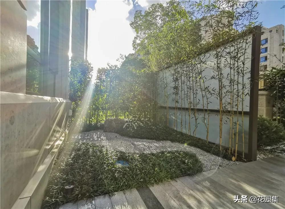 走近这个300m²花园,感受繁华都市中的小确幸
