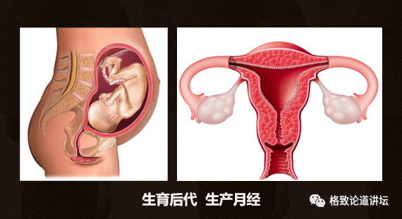 作为我们的“生命之房”，我们应该如何保护子宫？