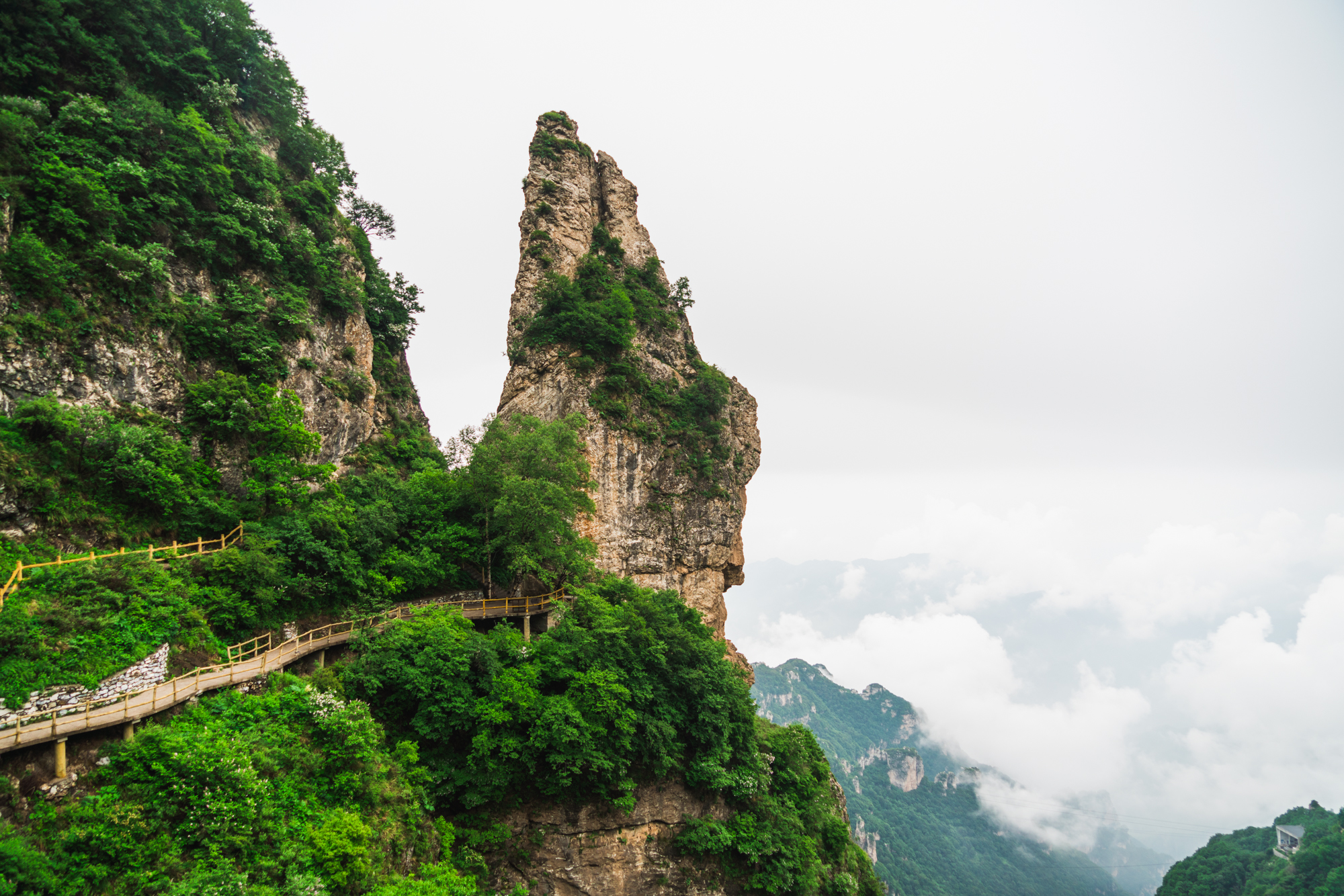 奇峰林立,云海如瀑!21℃的夏日白石山,一眼就已沦陷