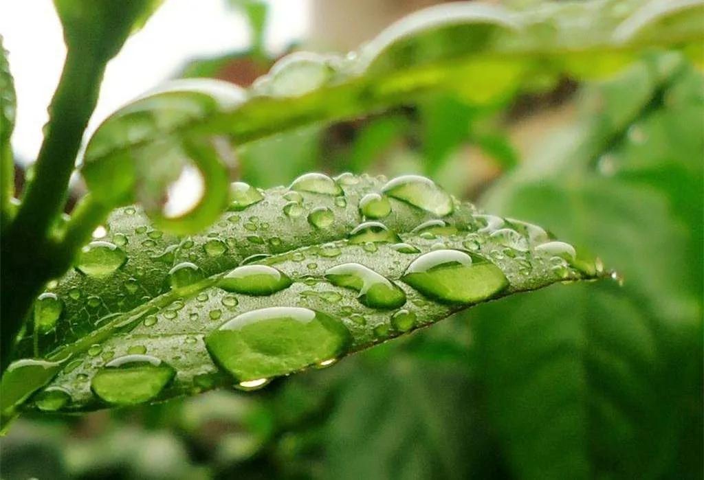 深秋细雨润心田
