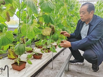 实探煤炭重镇吕梁：煤企转型“种地”？多个农业品牌已走向全国