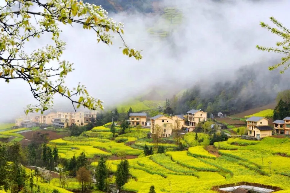 清明节去哪玩？重庆这些地方值得去踏青