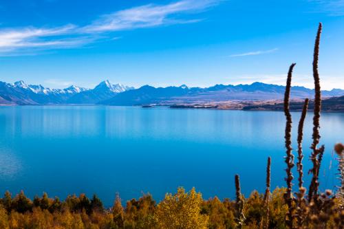 压路机租赁合同集合5篇