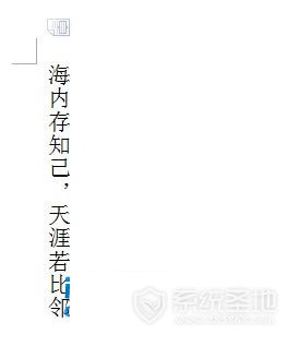 wps表格竖排文字怎么打（wps文字方向竖排怎么设置）(3)