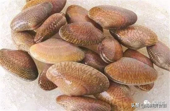 市场常见的102种海鲜，肉质鲜美，营养丰富，你们吃过几种？