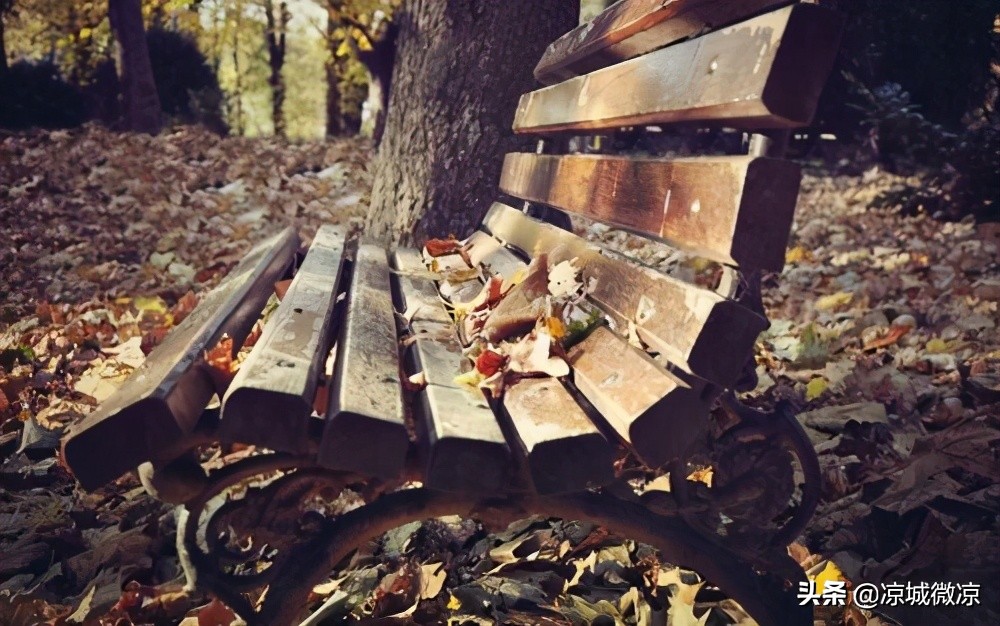 沐浴朝阳，感受青春，邂逅午后，体会人生，遇见晚霞尝尽人生百味