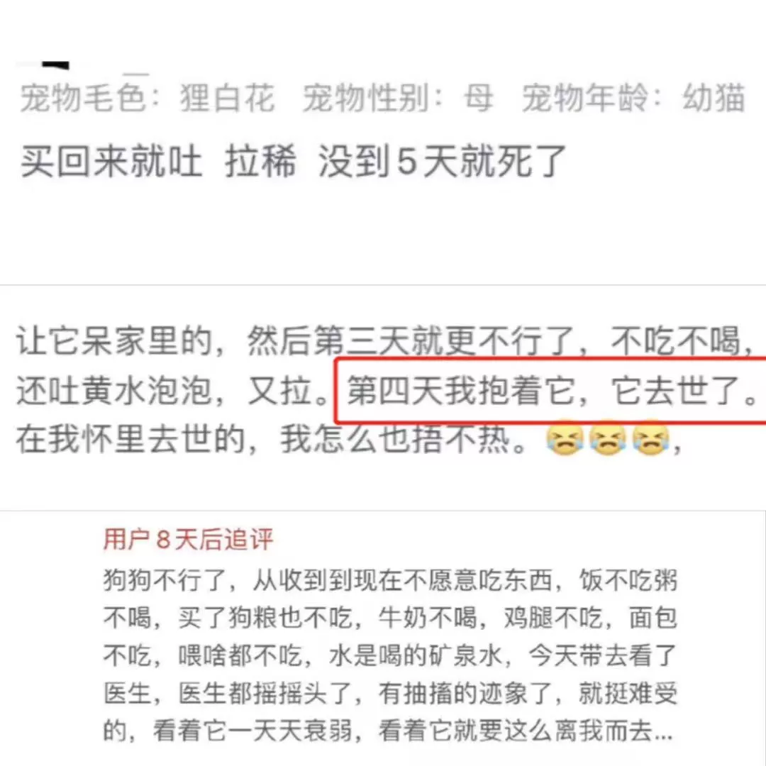 激怒4.6亿人，央视下场痛批！最“反人性”的生意，还在疯狂敛财
