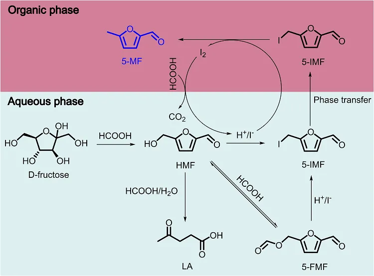 南昌大学杨维冉教授课题组碘催化最新研究工作概览